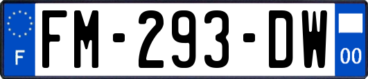 FM-293-DW
