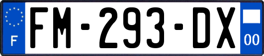 FM-293-DX