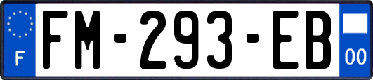 FM-293-EB