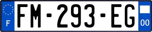 FM-293-EG