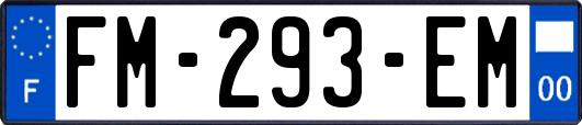 FM-293-EM