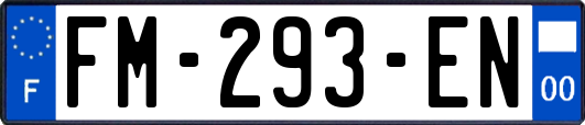 FM-293-EN