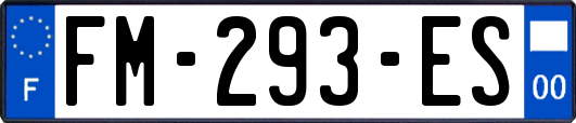 FM-293-ES