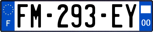 FM-293-EY