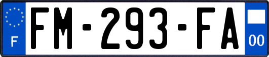 FM-293-FA