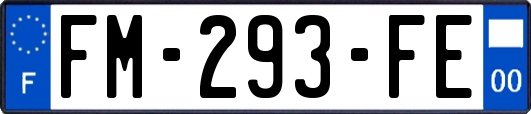 FM-293-FE