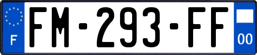 FM-293-FF