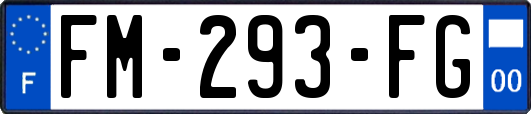 FM-293-FG