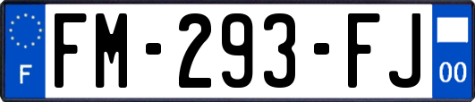 FM-293-FJ