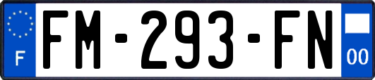 FM-293-FN