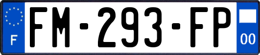 FM-293-FP