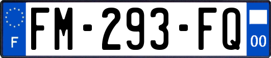FM-293-FQ