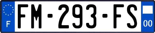 FM-293-FS