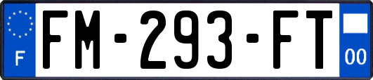 FM-293-FT