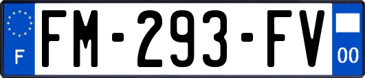 FM-293-FV