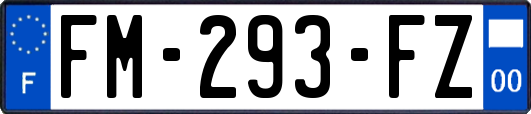 FM-293-FZ