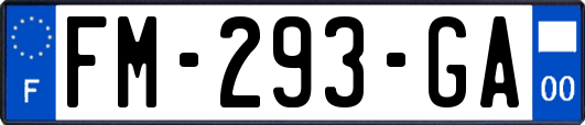 FM-293-GA