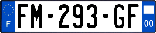 FM-293-GF