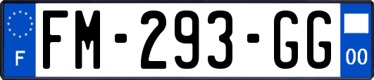 FM-293-GG