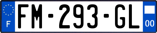 FM-293-GL