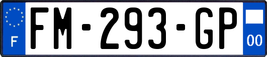 FM-293-GP