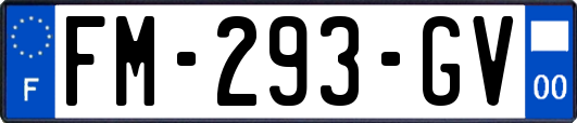 FM-293-GV