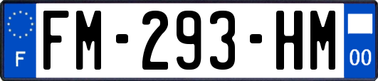 FM-293-HM
