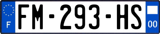 FM-293-HS