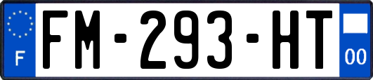FM-293-HT