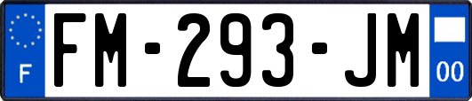FM-293-JM