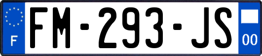 FM-293-JS