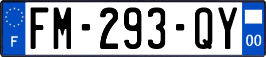 FM-293-QY