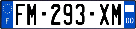 FM-293-XM