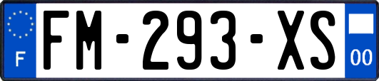 FM-293-XS