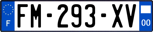 FM-293-XV