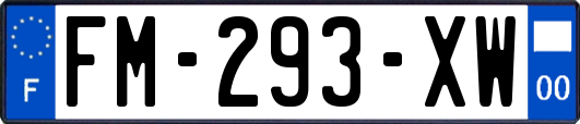 FM-293-XW