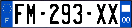 FM-293-XX