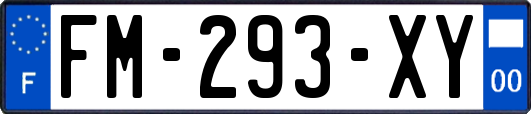 FM-293-XY