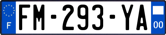 FM-293-YA