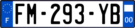 FM-293-YB