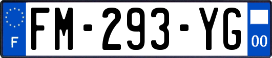 FM-293-YG