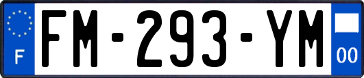 FM-293-YM