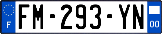FM-293-YN