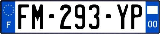 FM-293-YP