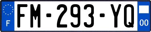 FM-293-YQ