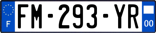 FM-293-YR