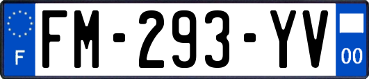 FM-293-YV