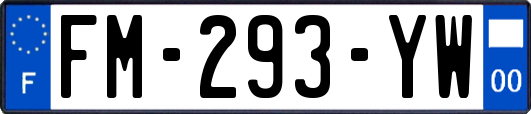 FM-293-YW