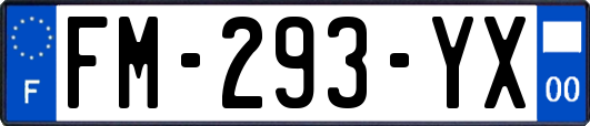 FM-293-YX