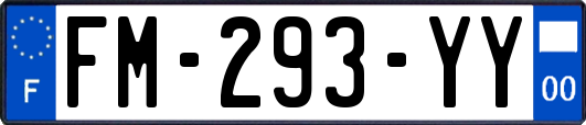 FM-293-YY